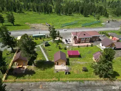 Золотой Кедр - 58