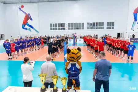Volleygrad sports - 100