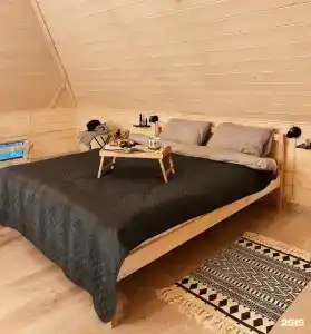 Дом и Елки - 1