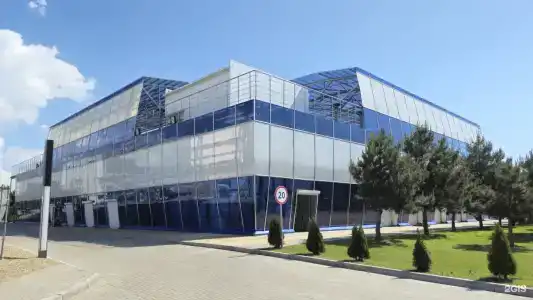 Volleygrad sports - 63