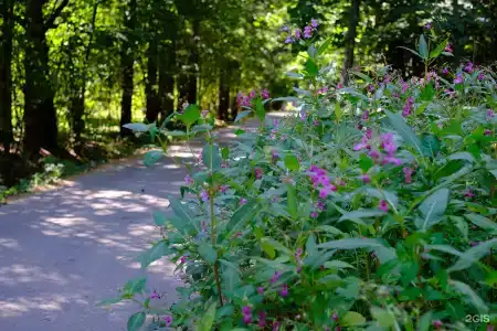 Переделкино - 31