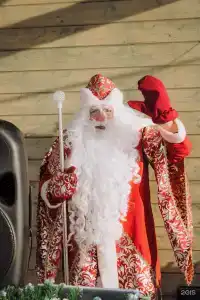 Пара Альпак - 38