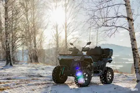 Маральник Алтай - 116
