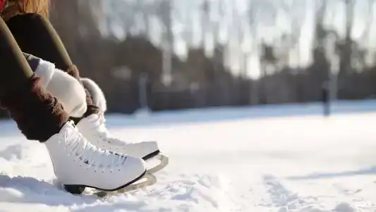 Салтыковка Forest Club - 40