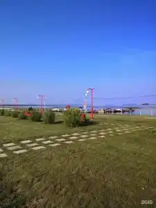 Пичуги - 29