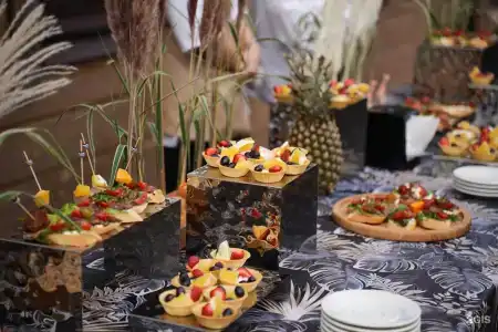 Opera Wellness - 30