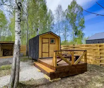Зелёный бор - 19