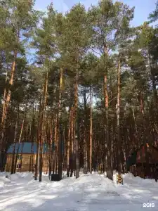 Снежок - 20