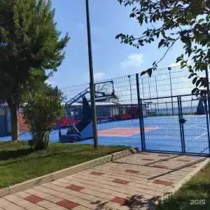Асса - 49