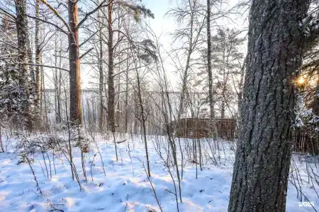 Рассвет - 13