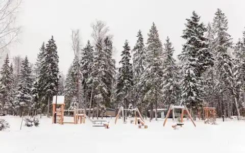 Нешалаши - 61