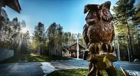 Белый соболь - 46