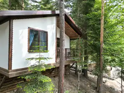 Три медведя - 30