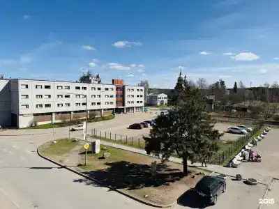Чайка - 4