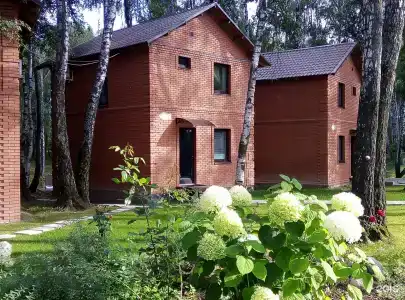 Золотая рыбка - 26