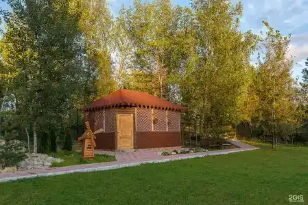 Лесная поляна - 13