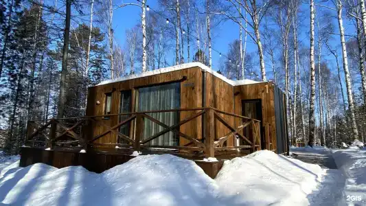 Снежные гуси - 33