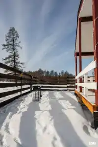 Аврора - 43