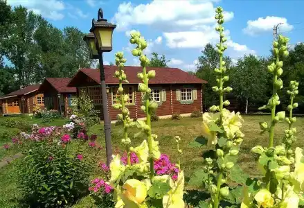 Дивный дворик - 5