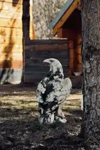 Кедровый Рай - 12