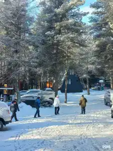 Валентина - 61