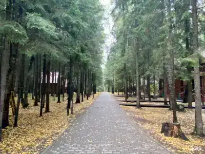 Истра Холидей - 115