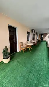 Сакура - 2