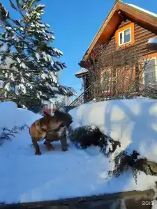 Починки - 140