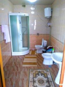 Светлячок - 9