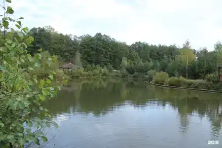 Звёздный - 7