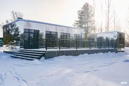 12 сосен - 43