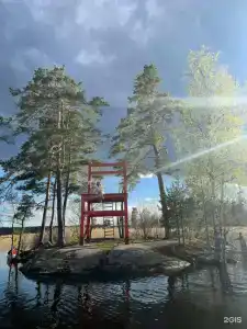 Яркое - 99