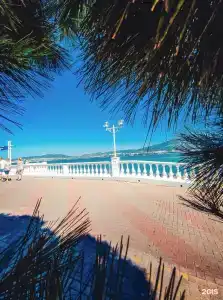 Клевер Удачи - 6