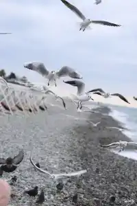 Два шага до моря - 23