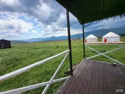 Ёжкины Дачи - 1