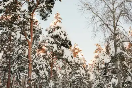 Комета - 19