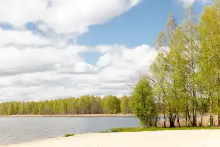Сойма Парк - 29