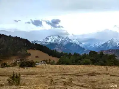 Chilli bros camp - 4