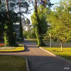 Сосновый бор - 37