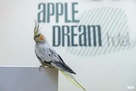 Apple Dream - 47
