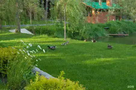 Русская охота - 70