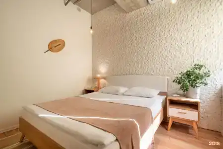 Plants & Friends Hostel - 11