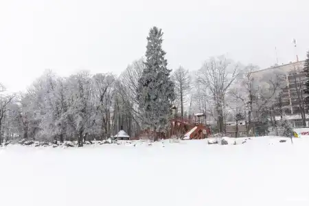 Репинская - 123
