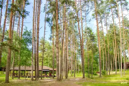 Лосево Парк - 26