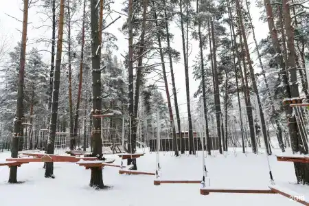 Лосево Парк - 117