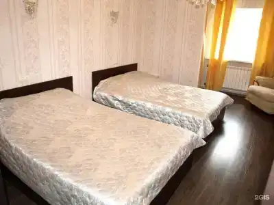 Зебра - 12