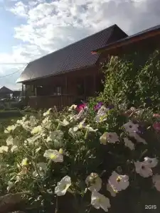 Алтайский дворик - 29