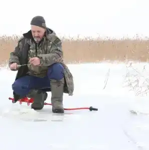 Креницы - 83
