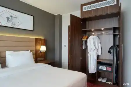 Radisson & Congress Center Saransk - 48