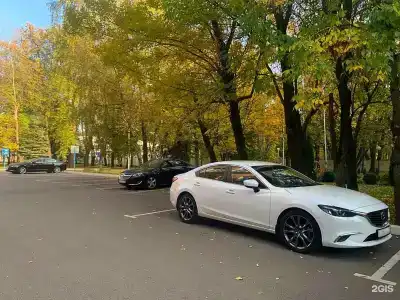 Парк-Шереметьевский - 45